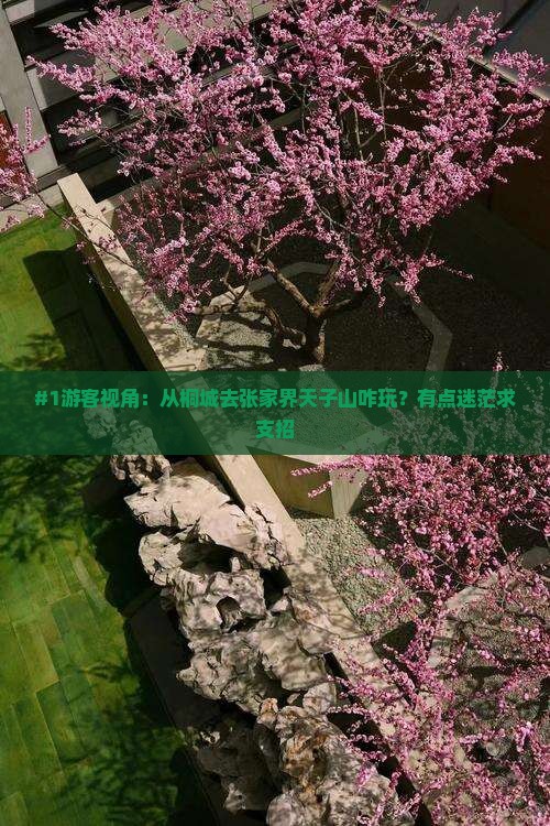 桐城去张家界天子山哪里玩