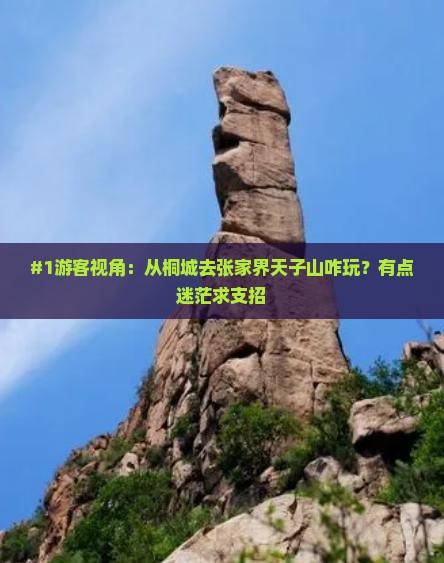 桐城去张家界天子山哪里玩