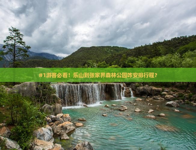乐山去张家界森林公园旅行社