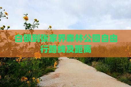 白银到张家界森林公园自由行