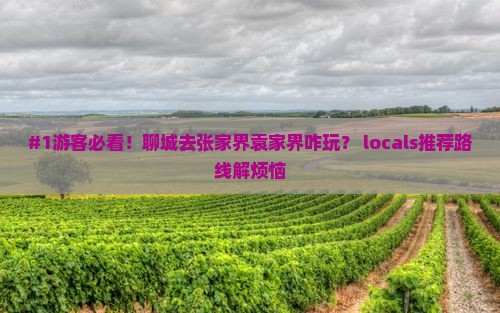 聊城去张家界袁家界哪里玩
