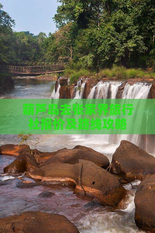 葫芦岛去张家界旅行社