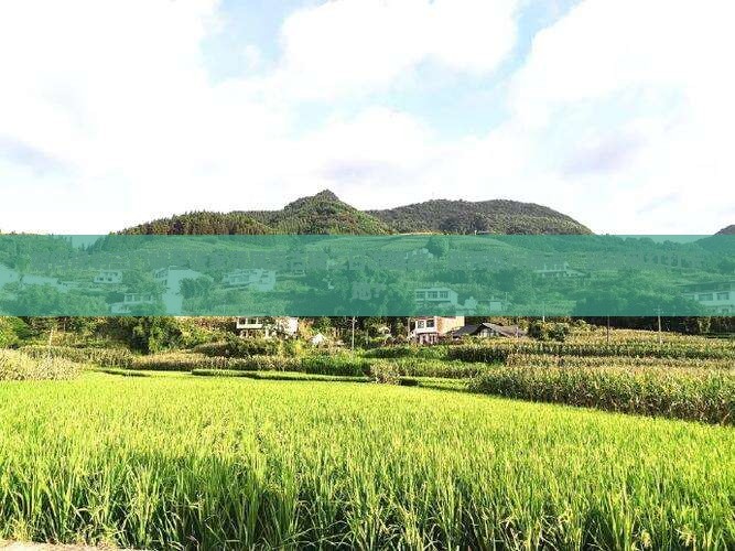 三门峡去张家界凤凰古城二日游