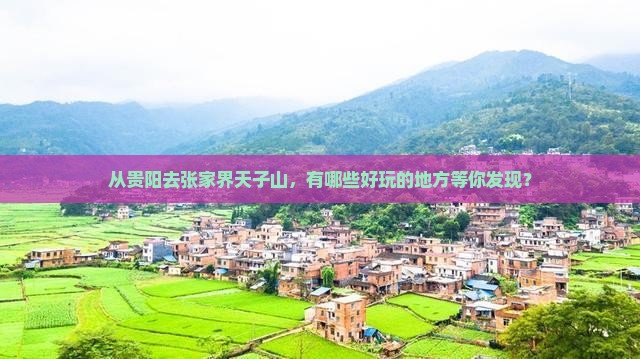 贵阳到张家界天子山哪里玩