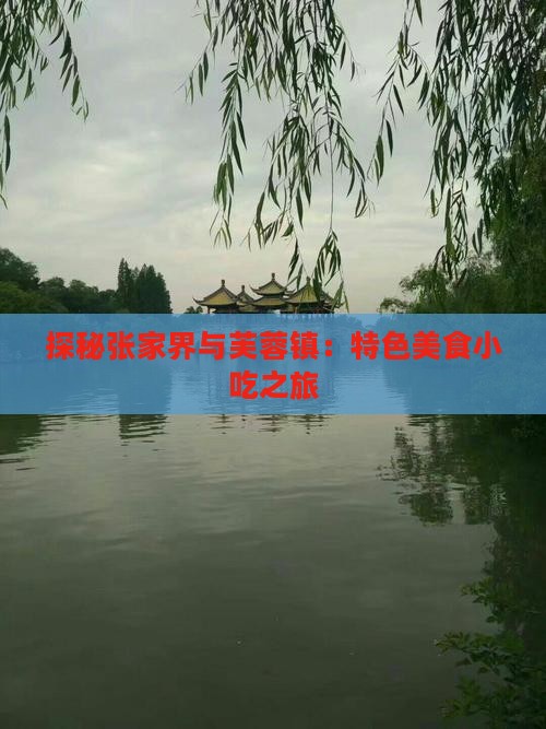 阿坝去张家界芙蓉镇旅游小吃