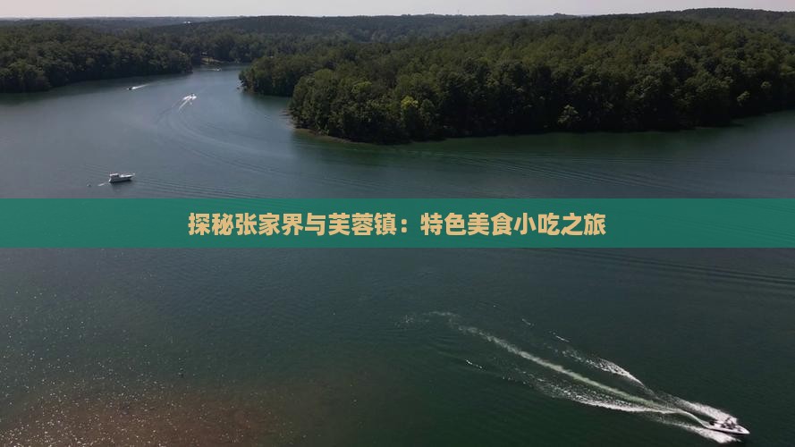 阿坝去张家界芙蓉镇旅游小吃