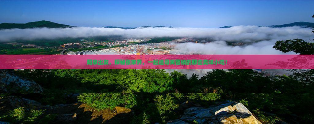 阳泉去张家界芙蓉镇旅游小吃