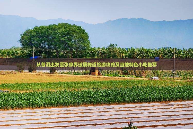 普洱到张家界玻璃栈道旅游小吃