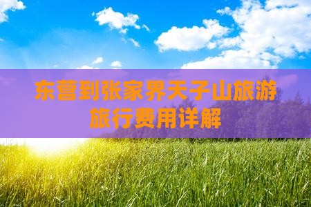 东营到张家界天子山大型旅游团