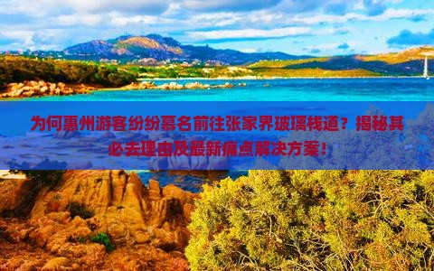 惠州到张家界玻璃栈道必去地