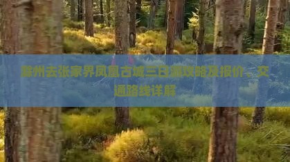 滁州去张家界凤凰古城三日游