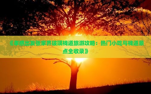 孝感去张家界玻璃栈道旅游小吃 孝感去张家界玻璃栈道旅游小吃