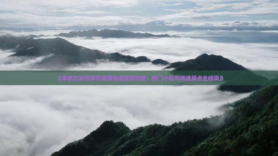 孝感去张家界玻璃栈道旅游小吃 孝感去张家界玻璃栈道旅游小吃