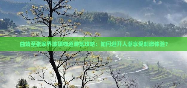 曲靖到张家界玻璃栈道哪里玩