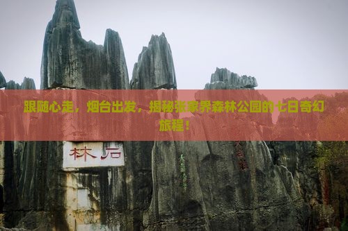 烟台去张家界森林公园七日游