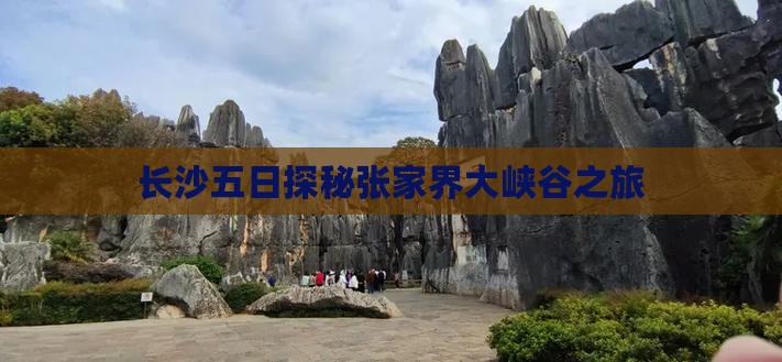 长沙去张家界大峡谷五日游