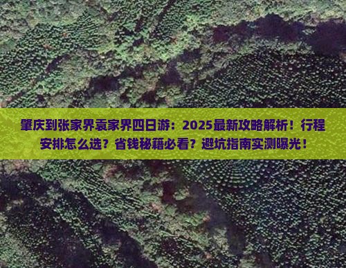 肇庆到张家界袁家界四日游