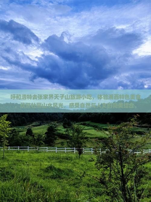 呼和浩特去张家界天子山旅游小吃 呼和浩特去张家界天子山旅游小吃