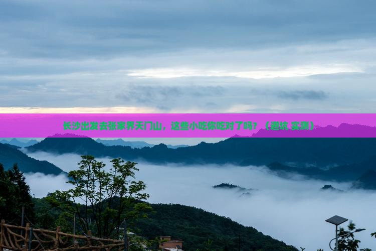 长沙去张家界天门山旅游小吃