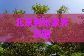 北京到张家界攻略