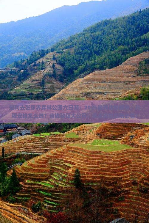 垦利去张家界森林公园六日游