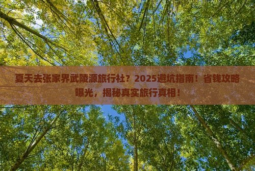 夏天去张家界武陵源旅行社
