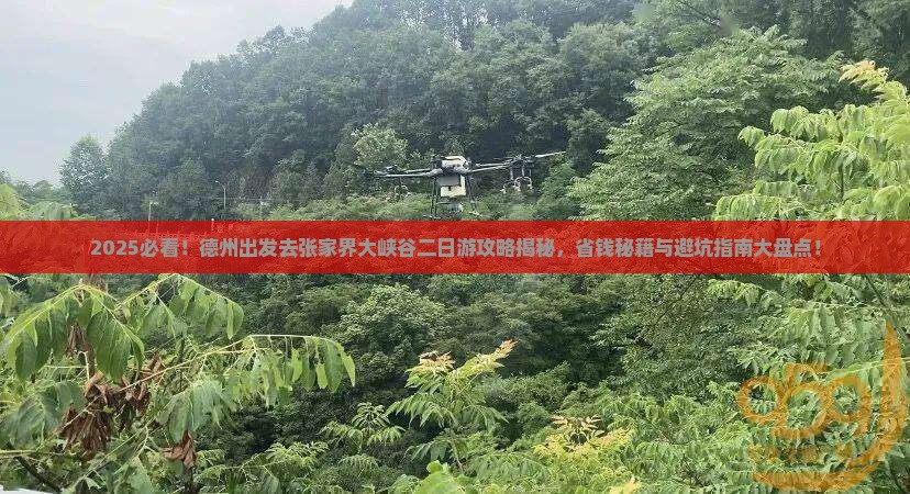 德州去张家界大峡谷二日游