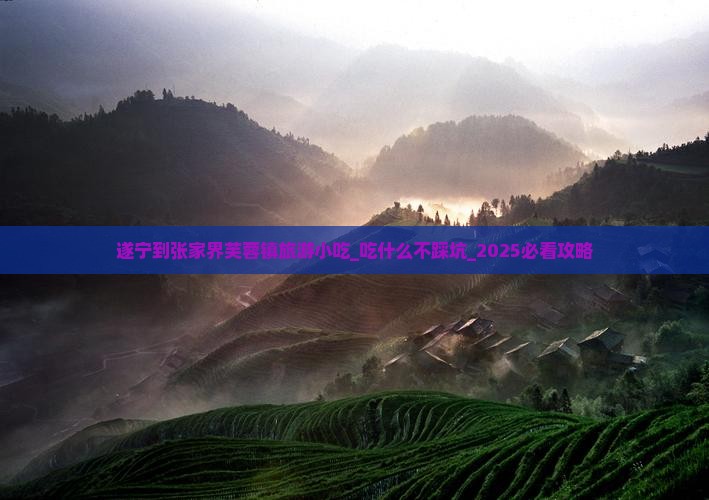 遂宁到张家界芙蓉镇旅游小吃