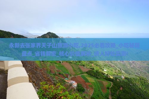 永新去张家界天子山旅游小吃
