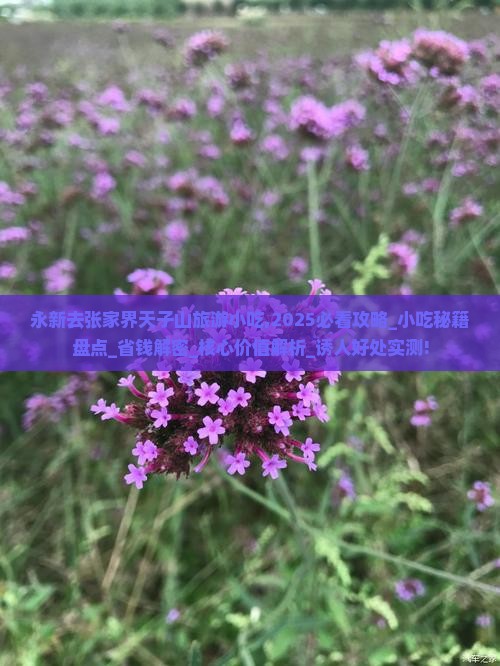 永新去张家界天子山旅游小吃