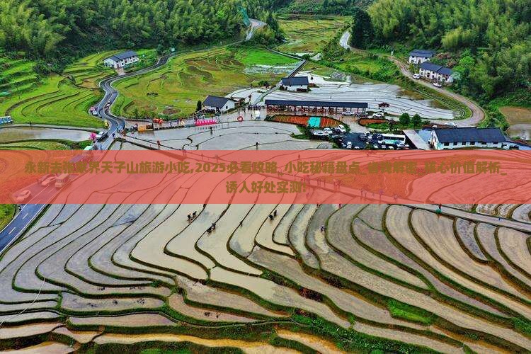 永新去张家界天子山旅游小吃
