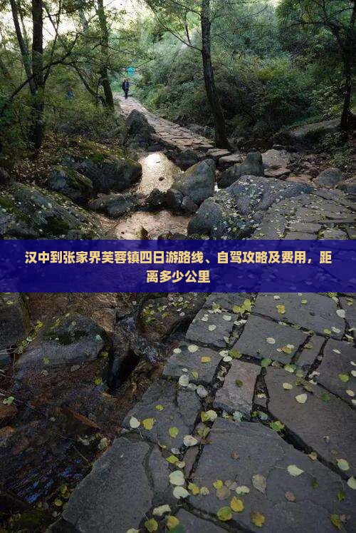 汉中到张家界芙蓉镇四日游
