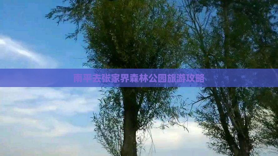 南平去张家界森林公园个人游