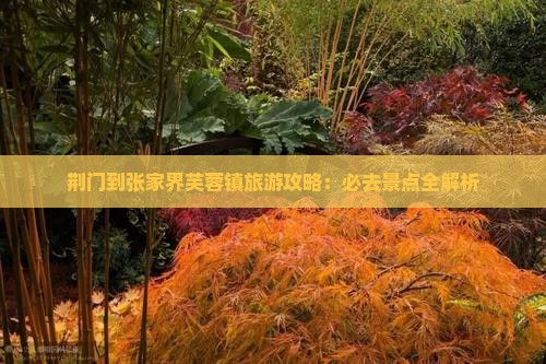 荆门到张家界芙蓉镇必去地