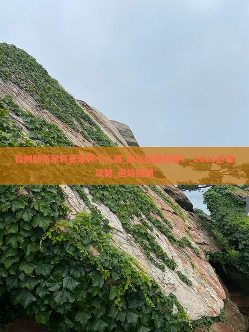 钦州到张家界袁家界个人游