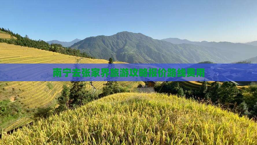 南宁去张家界旅游