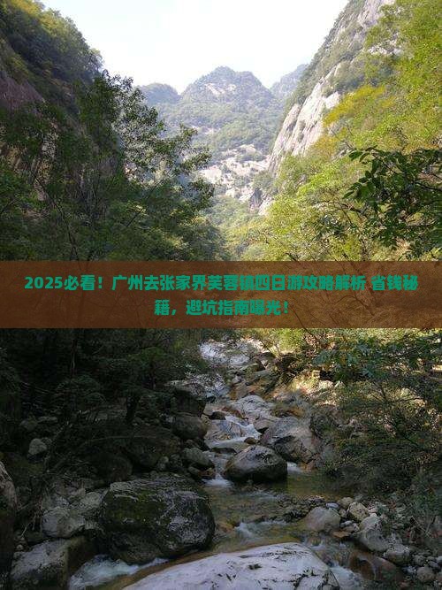 广州去张家界芙蓉镇四日游