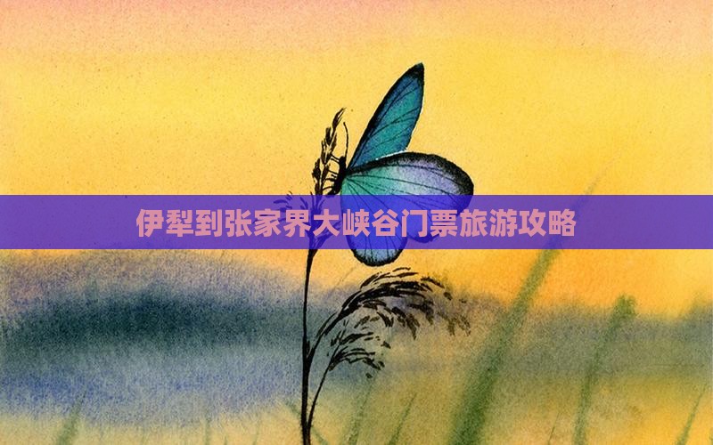 伊犁到张家界大峡谷门票