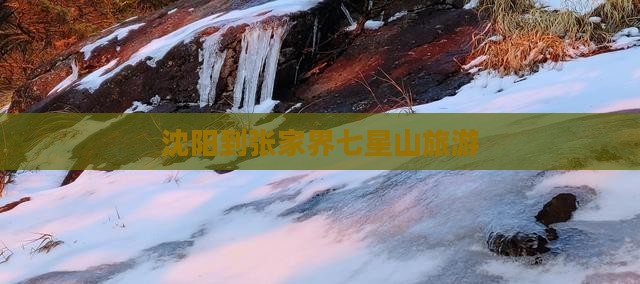 沈阳到张家界七星山旅游