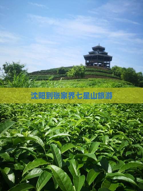 沈阳到张家界七星山旅游