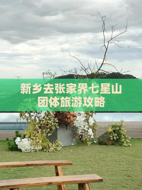 新乡去张家界七星山团体旅游