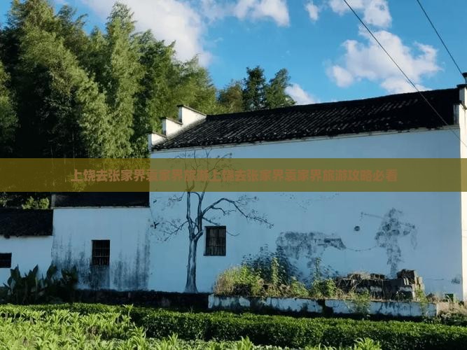 上饶去张家界袁家界旅游