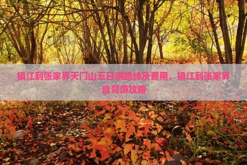 镇江到张家界天门山五日游