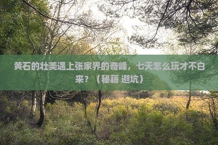 黄石到张家界天子山七日游
