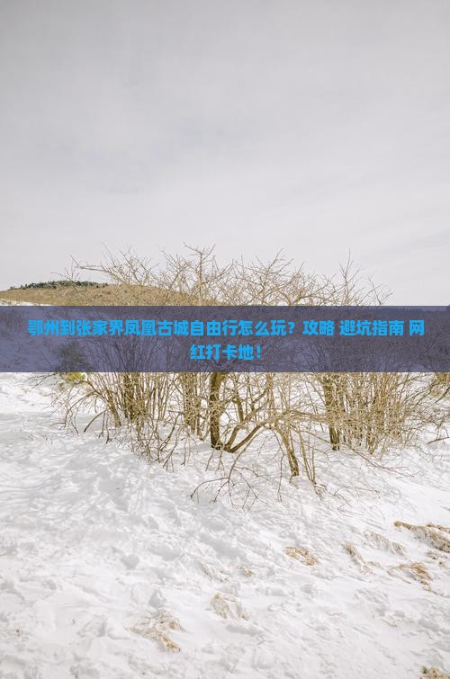鄂州到张家界凤凰古城自由行