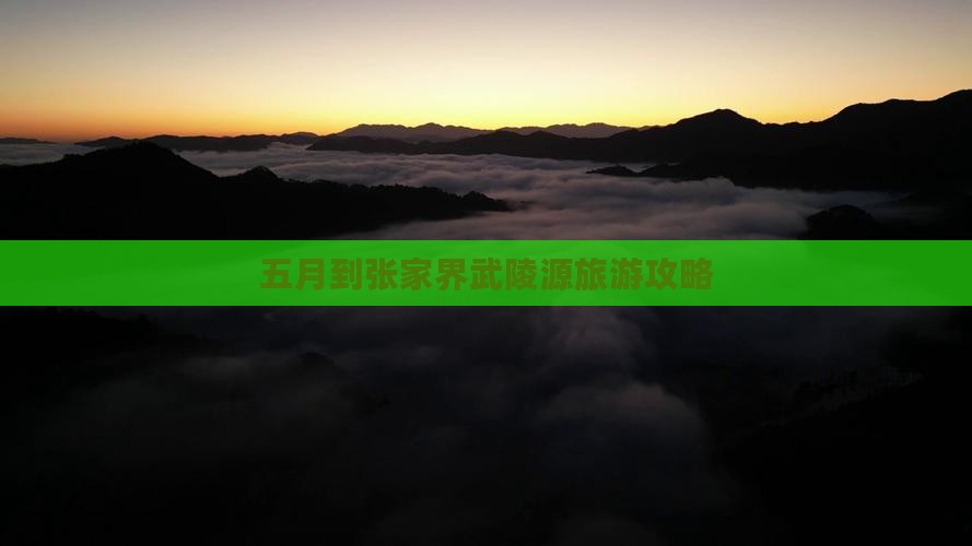 五月到张家界武陵源一日
