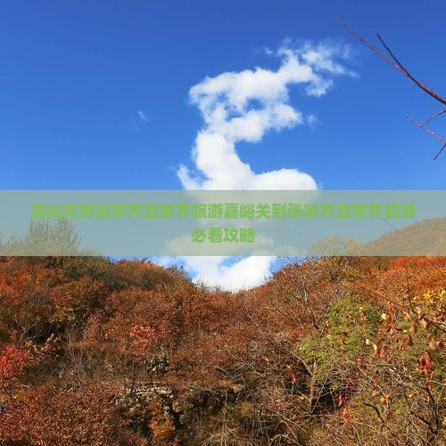 嘉峪关到张家界袁家界旅游