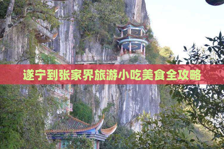 遂宁到张家界大峡谷旅游小吃