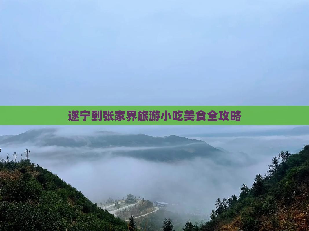 遂宁到张家界大峡谷旅游小吃