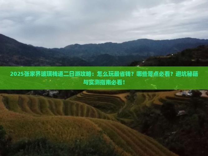 八月去张家界玻璃栈道二日游